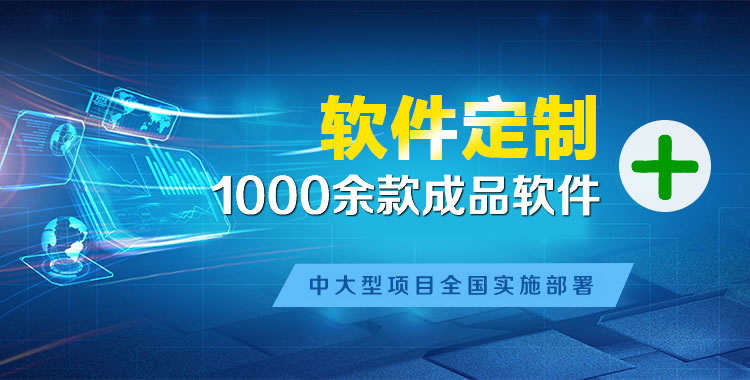 定城管理系统软件软件开发